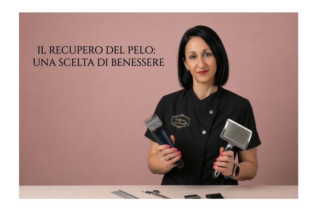 Tosare a zero o recuperare il pelo?