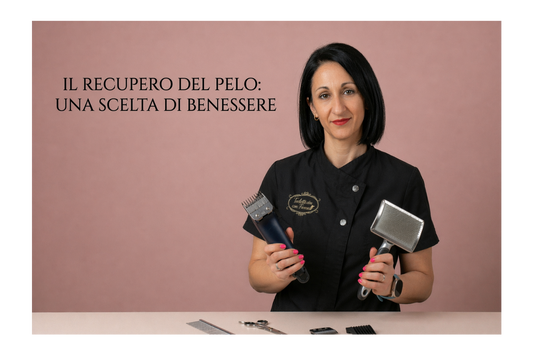 Tosare a zero o recuperare il pelo?