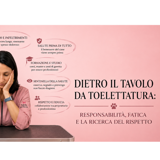 Dietro il Tavolo da Toelettatura: Responsabilità, Fatica e la Ricerca del Rispetto