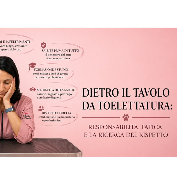 Dietro il Tavolo da Toelettatura: Responsabilità, Fatica e la Ricerca del Rispetto