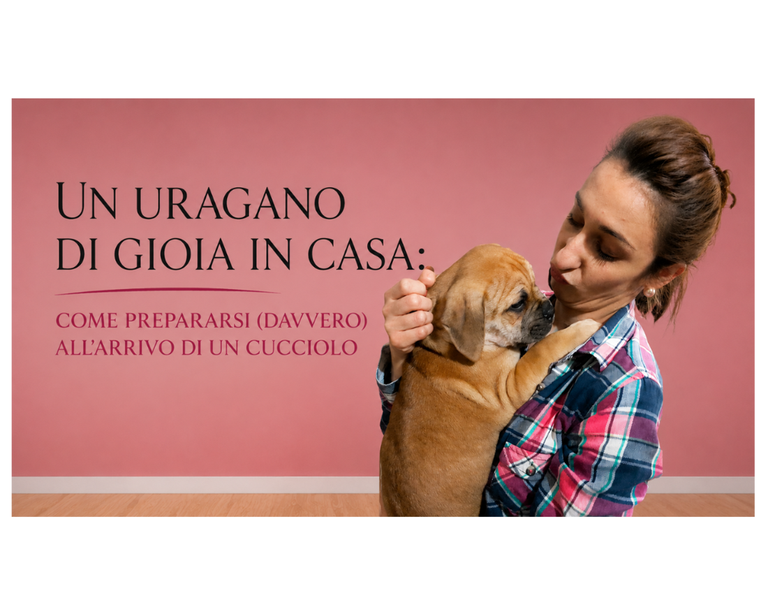 Un uragano di gioia in casa: come prepararsi (davvero) all’arrivo di un cucciolo