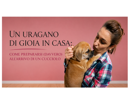 Un uragano di gioia in casa: come prepararsi (davvero) all’arrivo di un cucciolo
