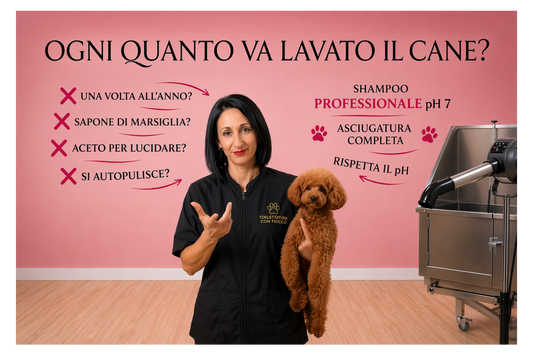 Ogni quanto va lavato il cane? La verità oltre i falsi miti