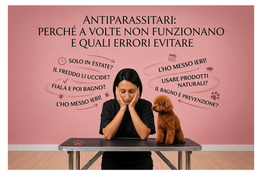 Il cane si gratta? La prevenzione antiparassitaria non funziona come pensi