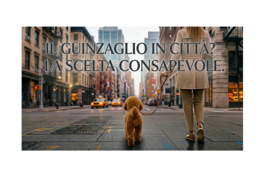 Il Guinzaglio in città: Sicurezza, Legge e Benessere