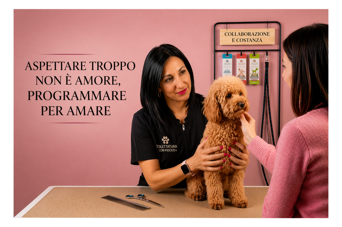 Aspettare troppo non è "AMORE"