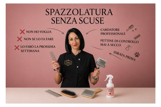 Spazzolatura: Senza Scuse. (O lo fai tu, o piange il cane)