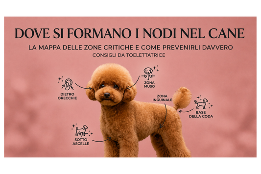 Dove si formano i nodi - Le zone critiche