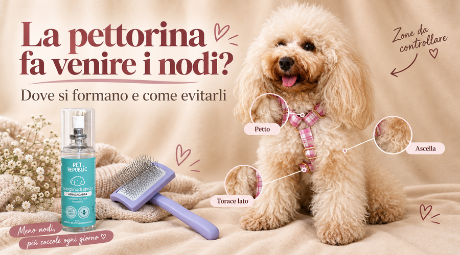 La pettorina fa venire i nodi? Dove si formano e come evitarli