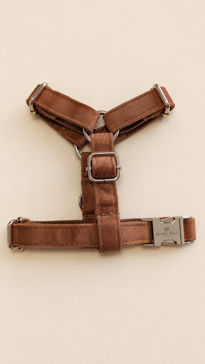 Essential Chic - Toffee (Pettorina)