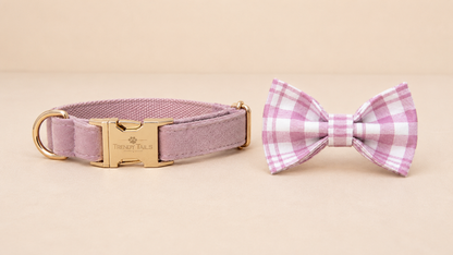 Essential Chic - Blush (Collare)