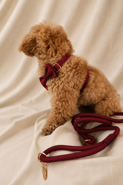Essential Chic - Rouge (Pettorina)