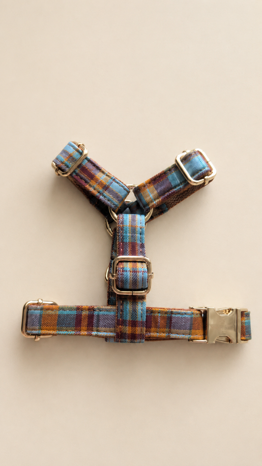 Heritage Soul - Autumn Glow (Pettorina) pettorina regolabile per cani piccoli Trendy Tails
