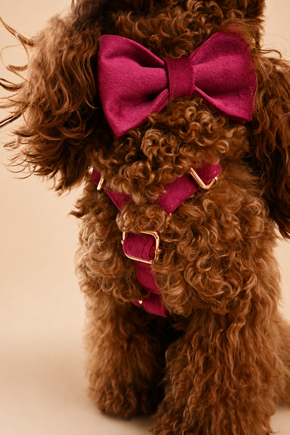 Essential Chic - Rouge (Pettorina)