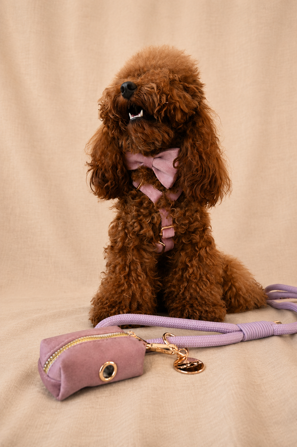 Essential Chic - Blush (Harness)