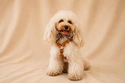 Essential Chic - Toffee (Pettorina)