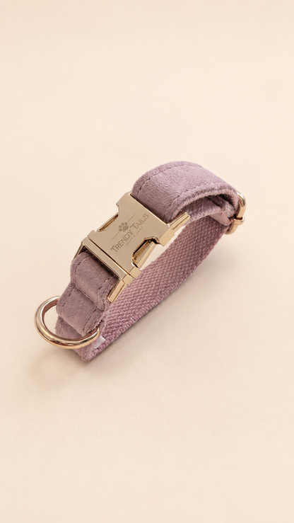 Essential Chic - Blush (Collare)