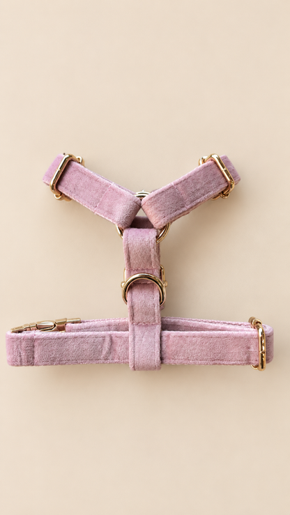 Essential Chic - Blush (Pettorina) pettorina regolabile per cani piccoli Trendy Tails - dettaglio 3