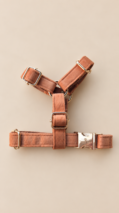 Essential Chic - Toffee (Pettorina) pettorina regolabile per cani piccoli Trendy Tails