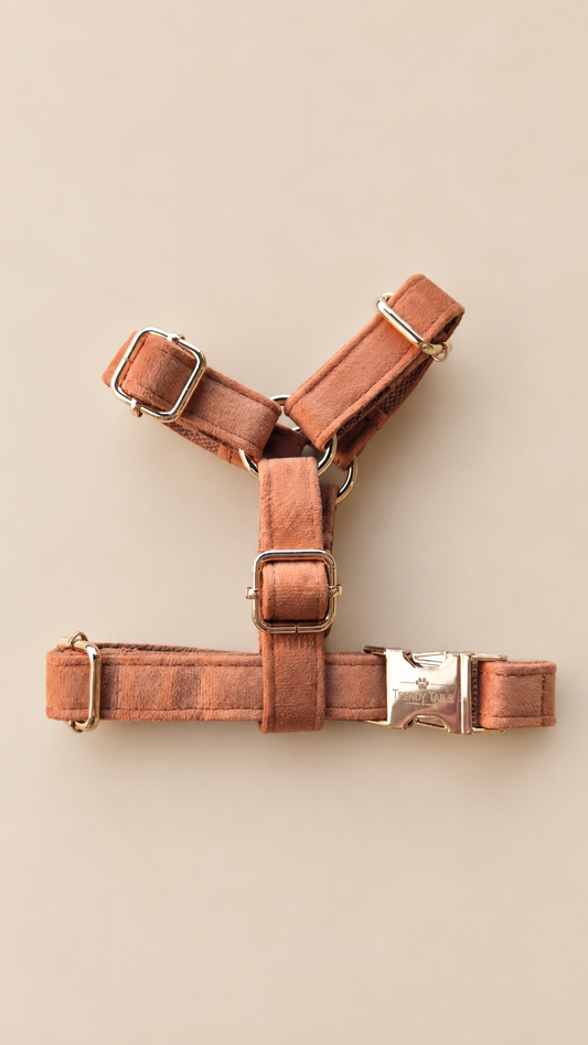 Essential Chic - Toffee (Pettorina) pettorina regolabile per cani piccoli Trendy Tails