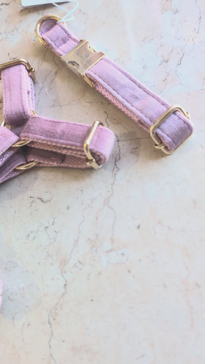 Essential Chic - Blush (Pettorina)